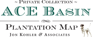 Ace Basin Logo
