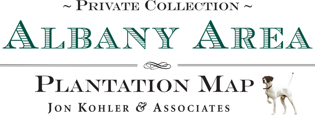 Albany Area Logo