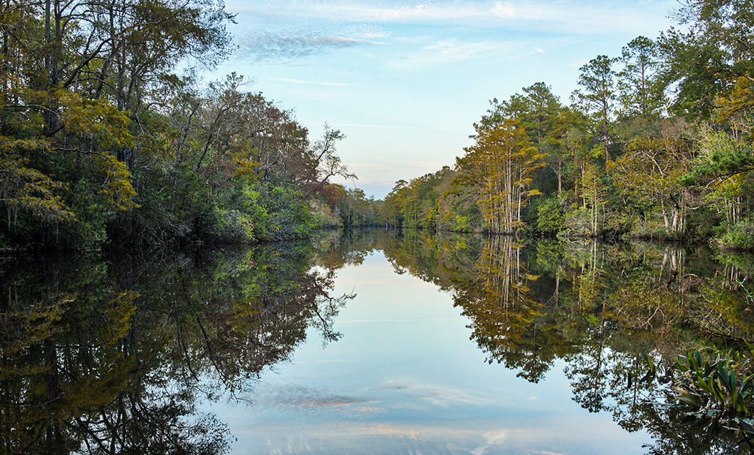 Byrnes Lake - Jon Kohler & Associates