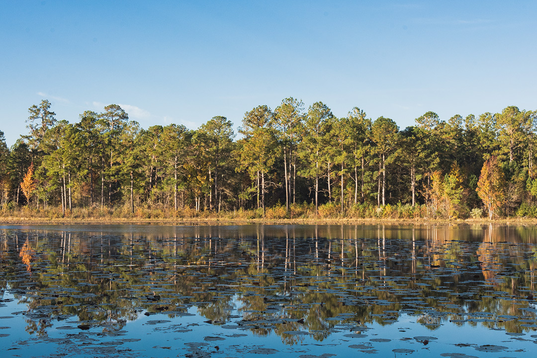 Hunter Lake - Jon Kohler & Associates