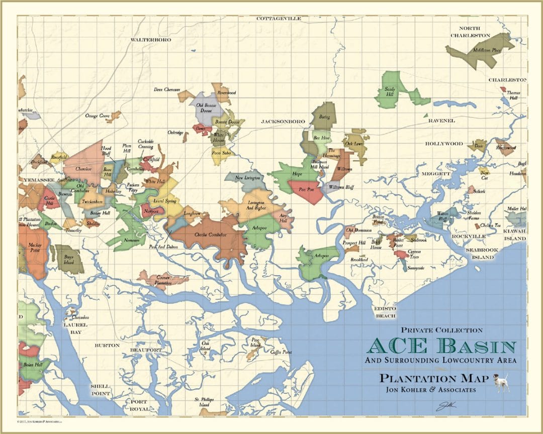 ACE Map