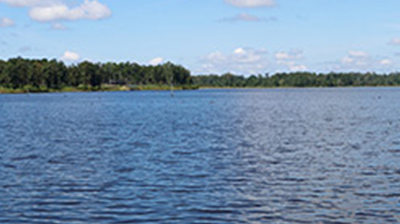 Woodland Lake Plantation
