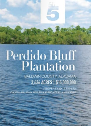 Perdido Bluff Plantation Post 