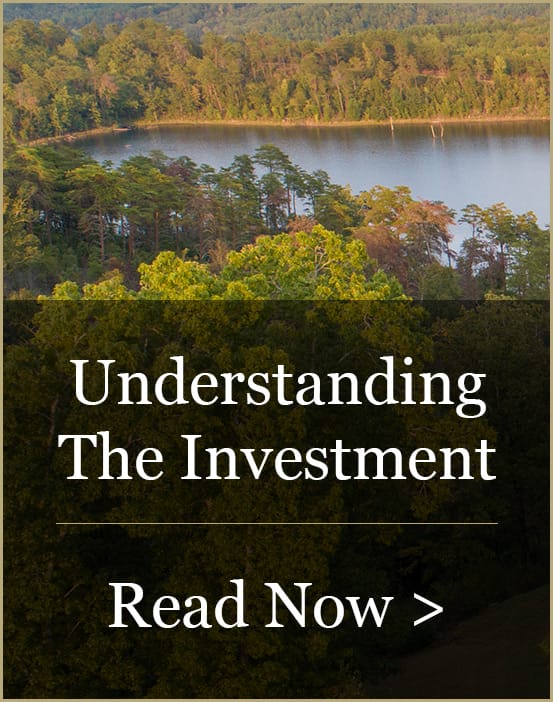 Understanding The Investment