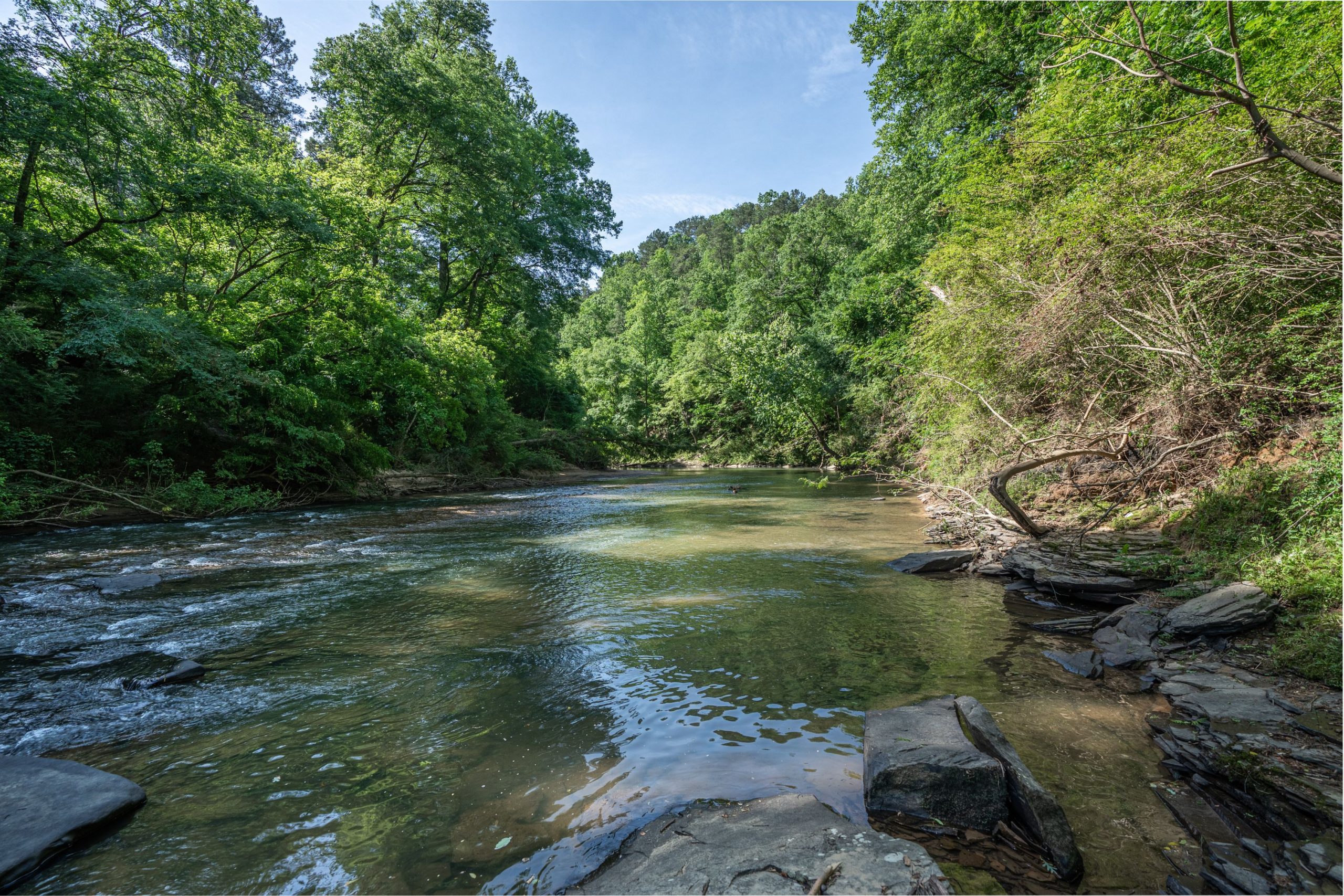 Cahaba River at Overton - Galleries - Jon Kohler & Associates