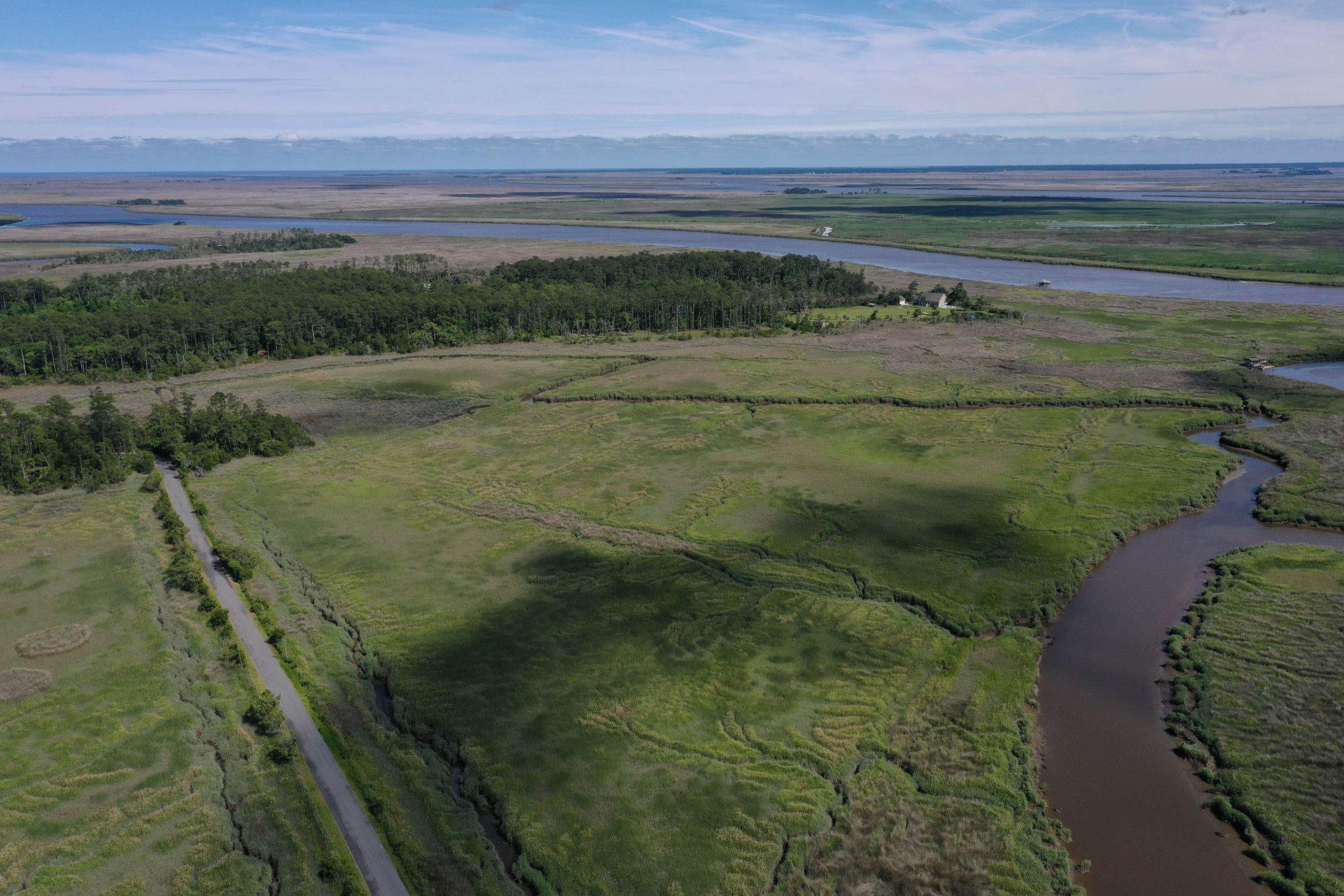 Black Island Waterfront Woodlands - Jon Kohler & Associates