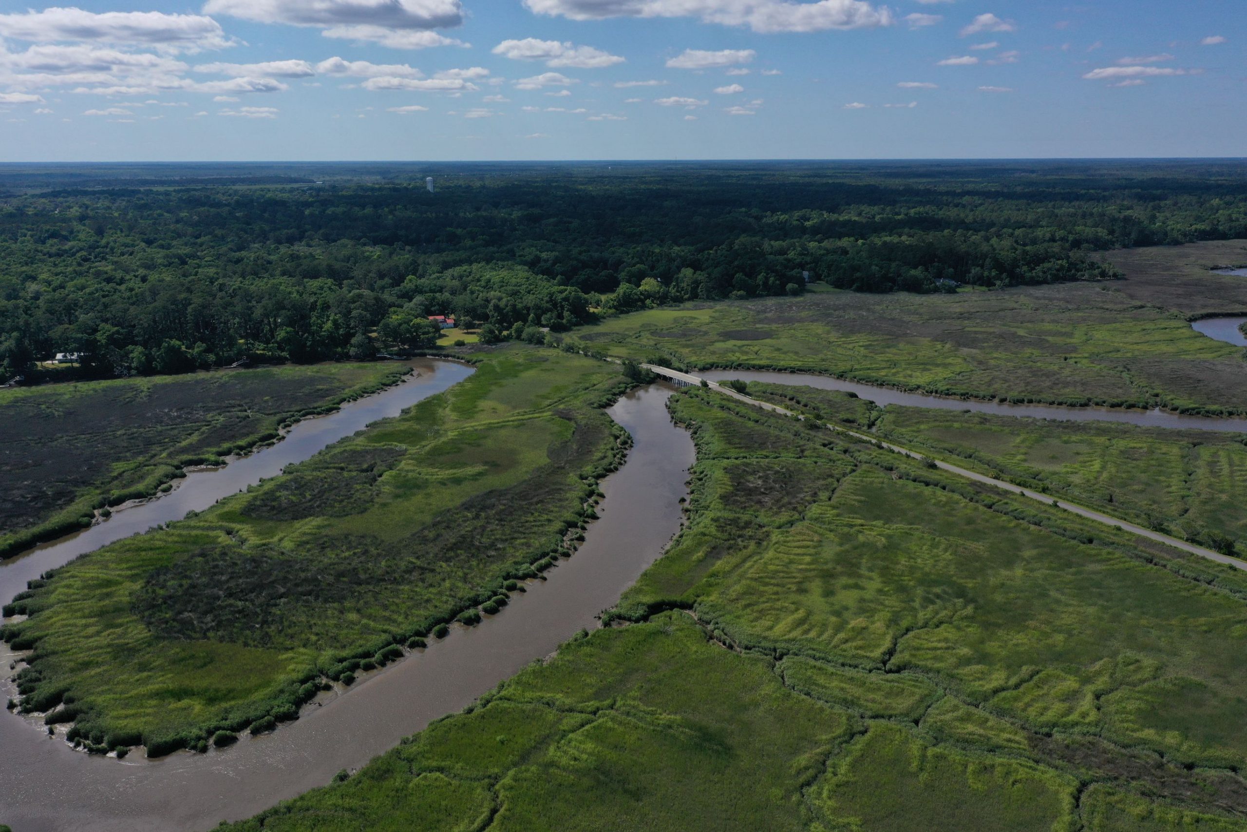 Black Island Waterfront Woodlands - Jon Kohler & Associates