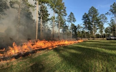 Florida’s Culture of Fire