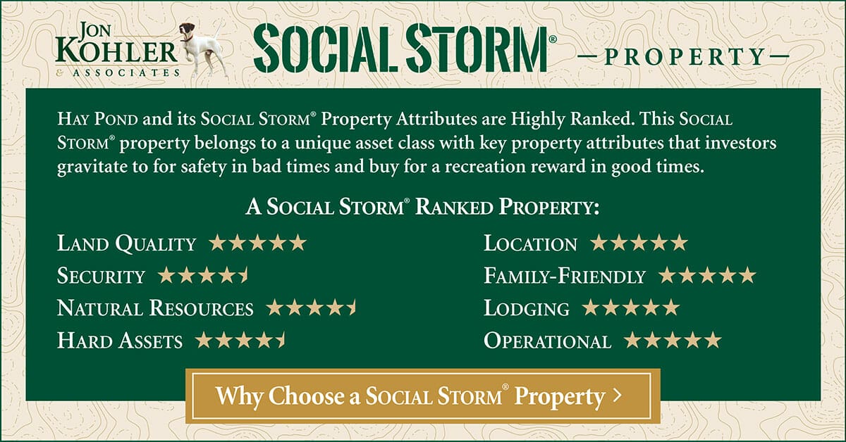 Social Storm Ranking