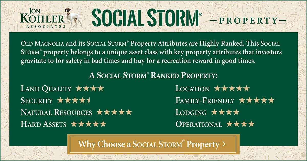 Social Storm Ranking Card