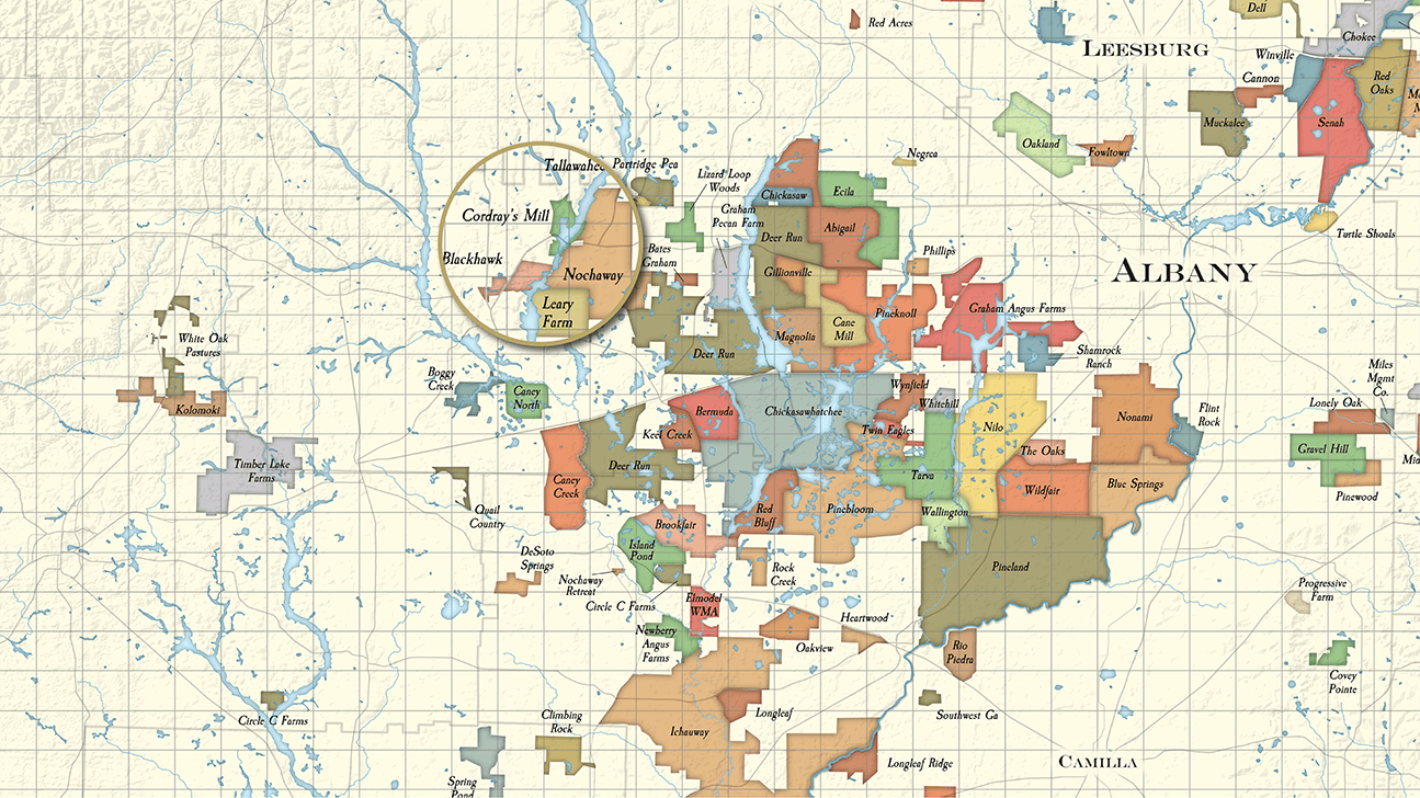 Albany Area Plantation Map