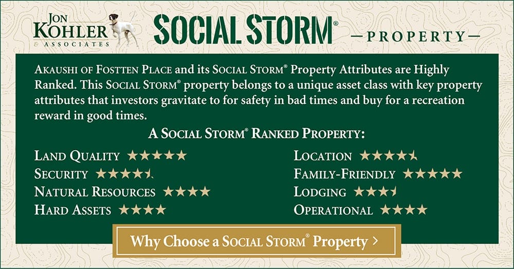 Social Storm Graphic