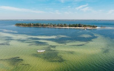 History Repeats along the Forgotten Coast